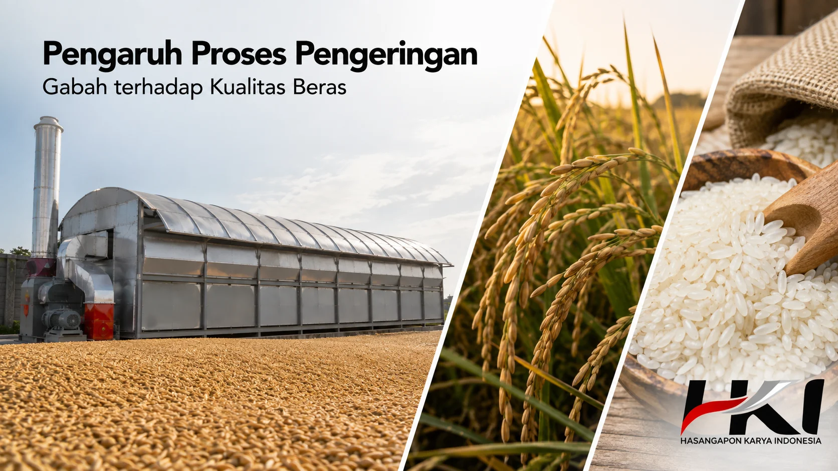 Mesin bed dryer modern digunakan untuk proses pengeringan gabah guna menjaga kualitas hasil panen sebelum penyimpanan dan penggilingan